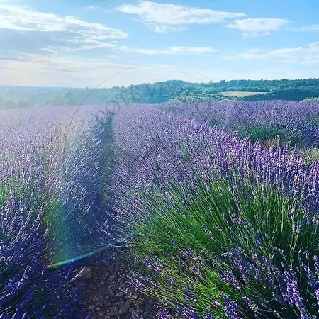 Cote Verdon 1